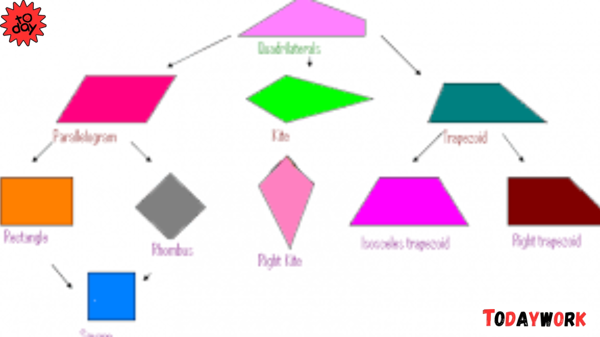 Rhombus Shape: Definition, Properties, Formulas, and Real-Life Examples ...
