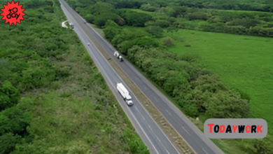 longest highway in the world