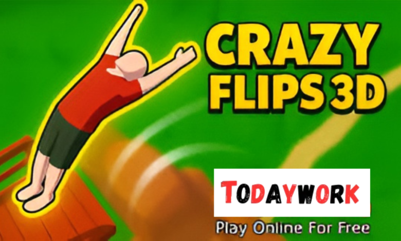 crazy flips 3d
