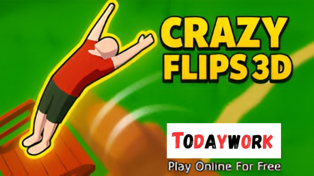 crazy flips 3d