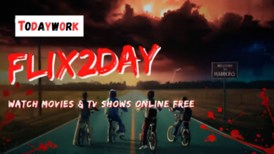 flix2day