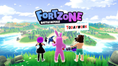 fortzone